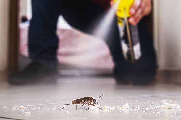 Best Pest Removal Services  in Fair Lawn, NJ